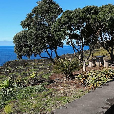 Casa D'Avo Francisco ξενώνας Madalena  Εξωτερικό φωτογραφία