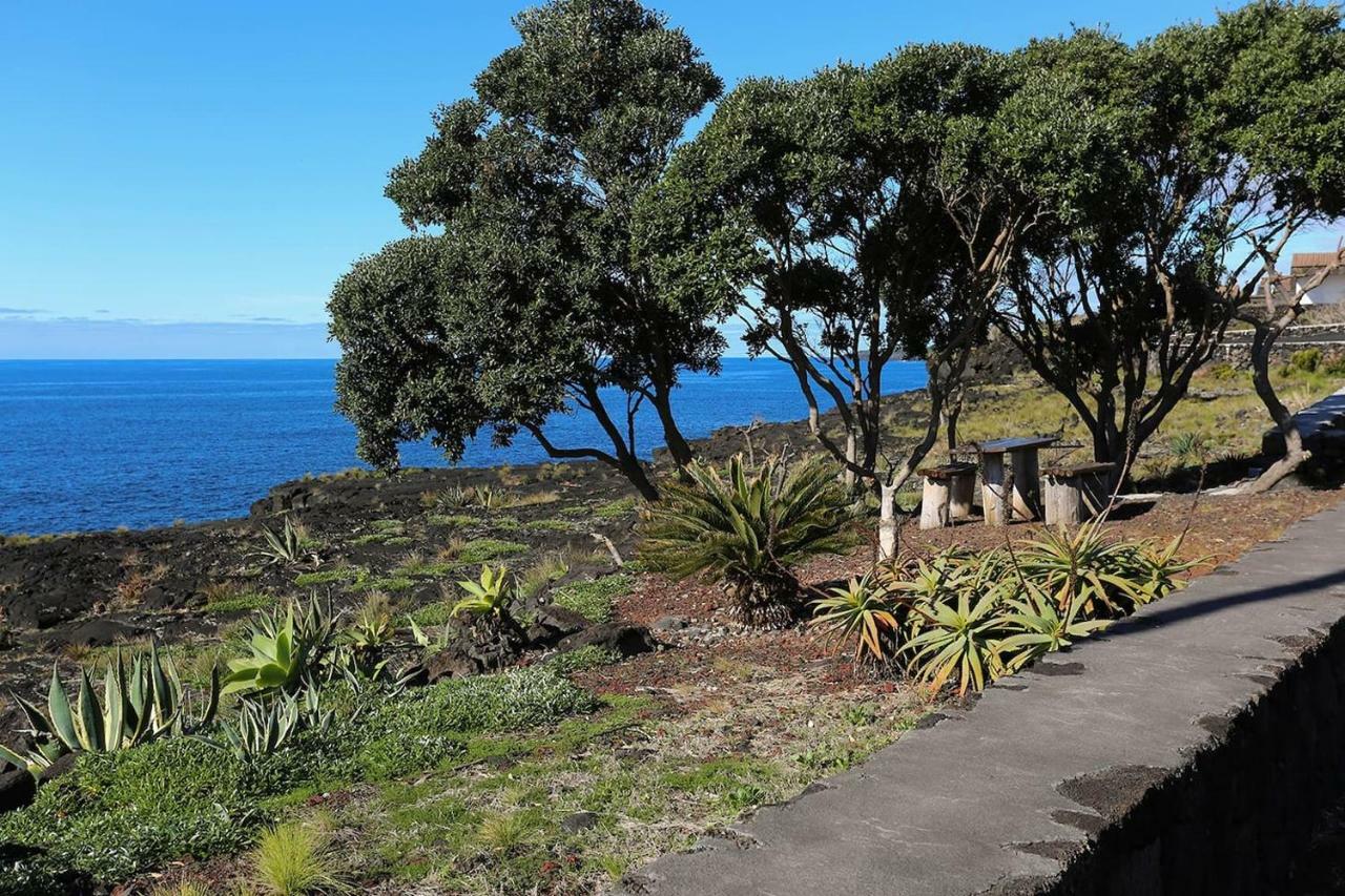 Casa D'Avo Francisco ξενώνας Madalena  Εξωτερικό φωτογραφία