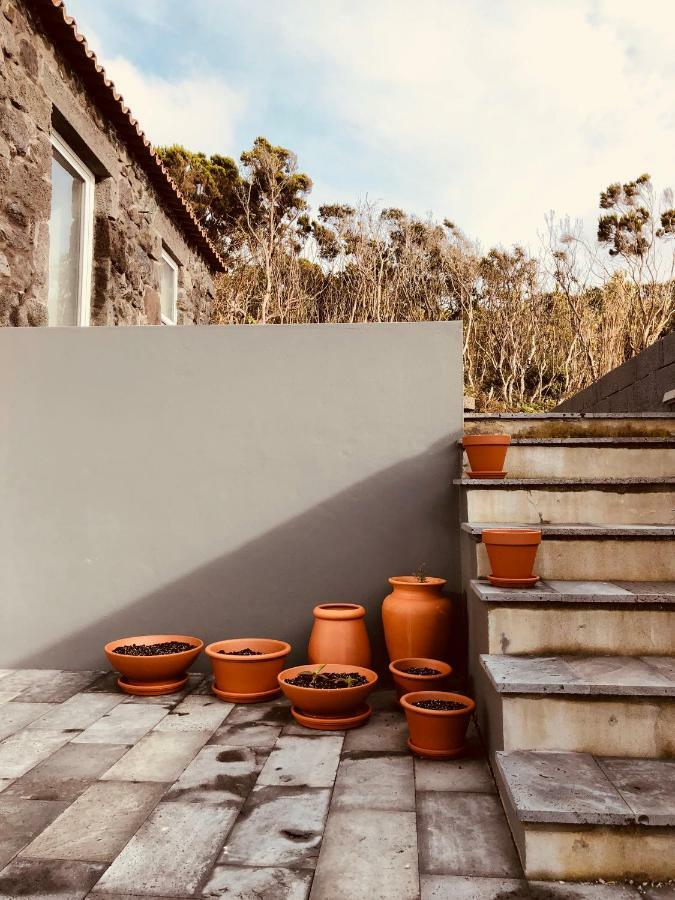 Casa D'Avo Francisco ξενώνας Madalena  Εξωτερικό φωτογραφία