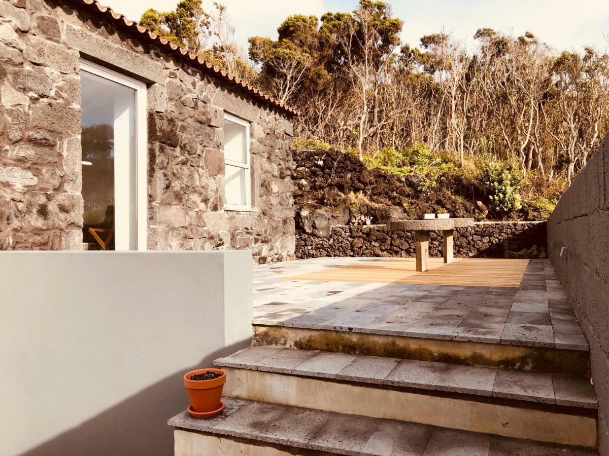 Casa D'Avo Francisco ξενώνας Madalena  Εξωτερικό φωτογραφία